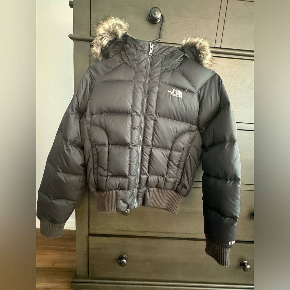 The north face puffer jacket